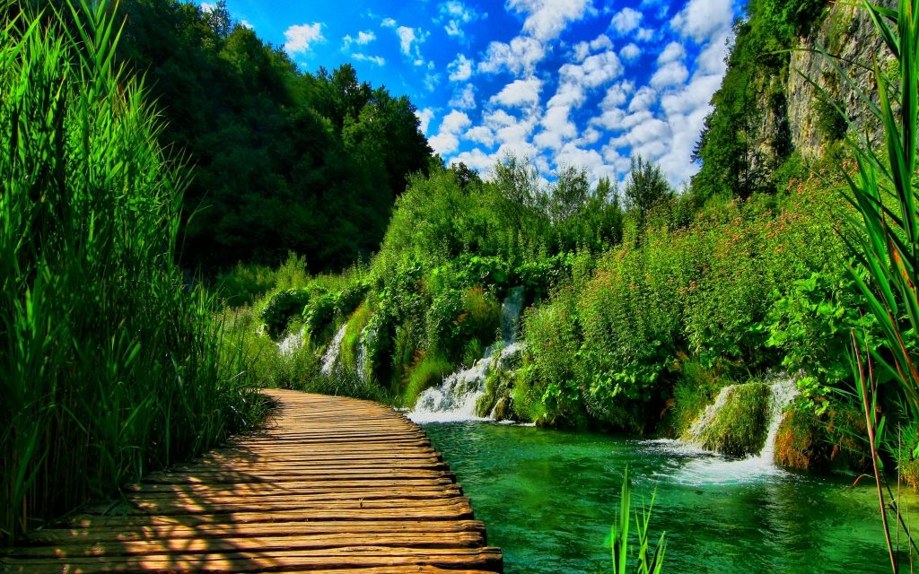 MEDİTASYON’A DAVET