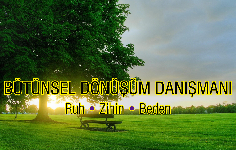Bütünsel Dönüşüm Danışmanı