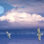 E.F.T. (EMOTIONAL FREEDOM TECHNIQUES) Duygusal Arınma Tekniği