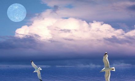 E.F.T. (EMOTIONAL FREEDOM TECHNIQUES) Duygusal Arınma Tekniği