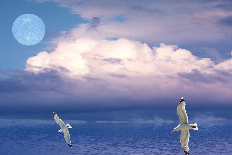 E.F.T. (EMOTIONAL FREEDOM TECHNIQUES) Duygusal Arınma Tekniği