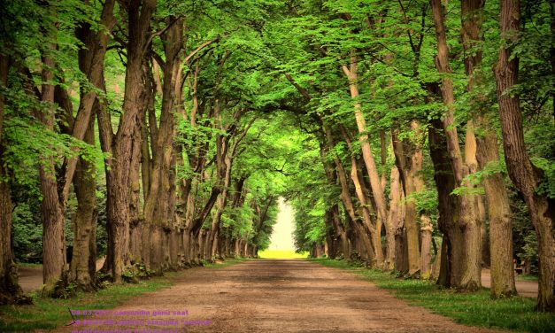 MEDİTASYON’A DAVET