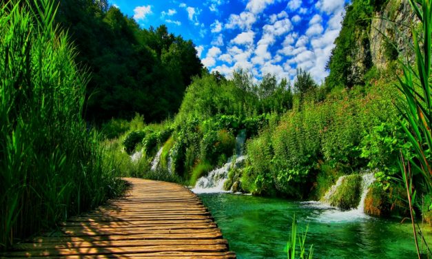 MEDİTASYON’A DAVET