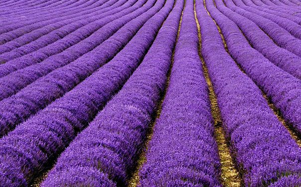 MEDİTASYON’A DAVET