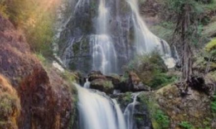 MEDİTASYON’A DAVET