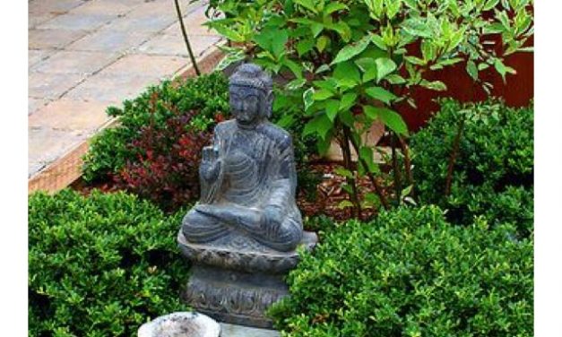 MEDİTASYON’A DAVET