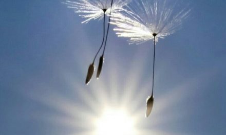 MEDİTASYON’A DAVET