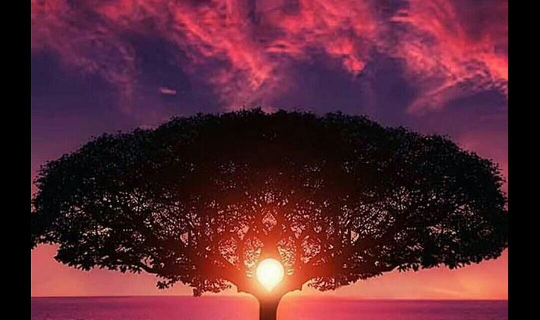 MEDİTASYON’A DAVET