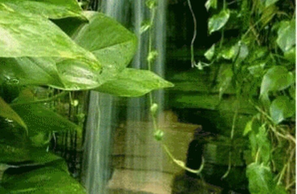 Meditasyon’a davet